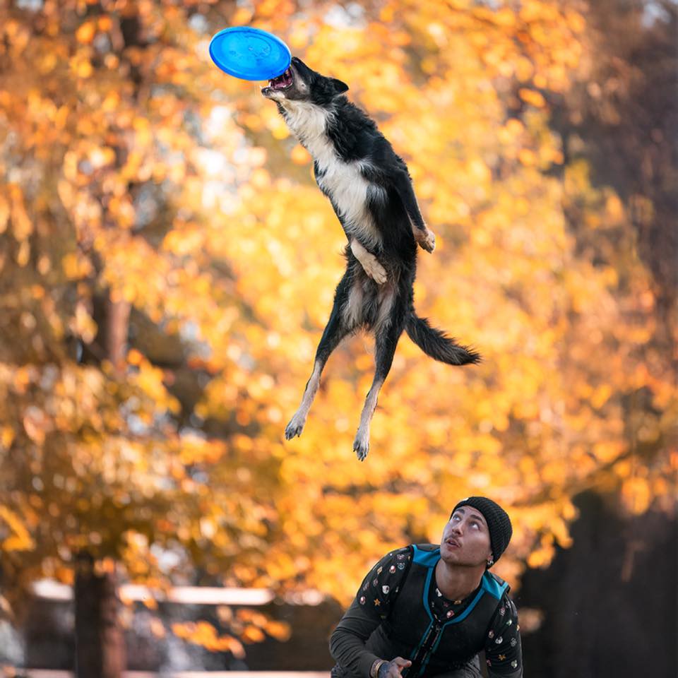 Chị <span>Hoàng Linh</span>